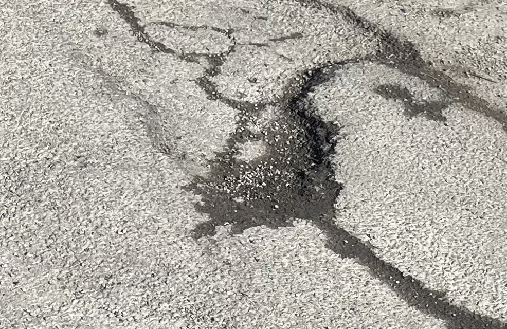 Road Survey 2025