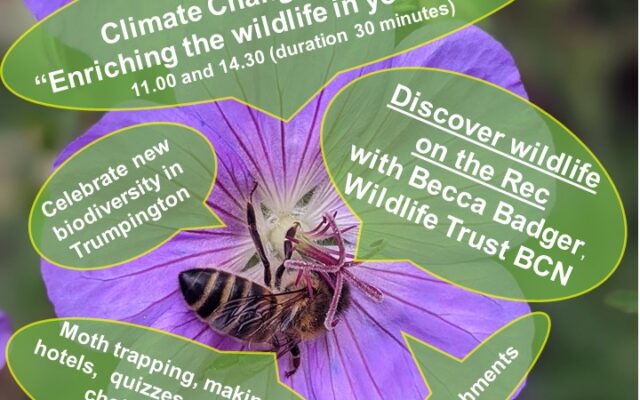 Trumpington Community Nature Day