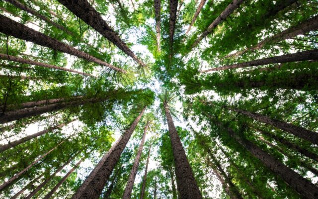 County: Net zero by 2045