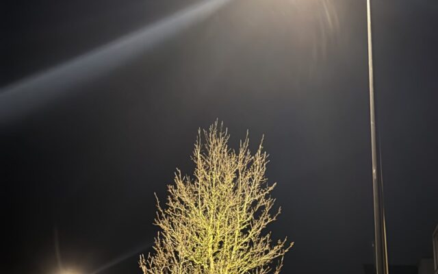 LED Street Lights